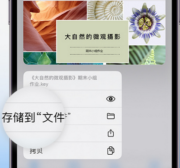 肇源apple维修中心分享iPhone文件应用中存储和找到下载文件