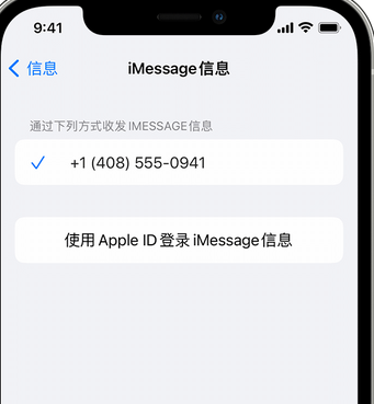 肇源apple维修iPhone上无法正常发送iMessage信息 