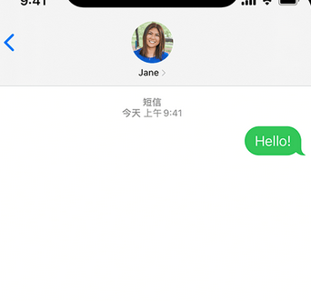 肇源apple维修iPhone上无法正常发送iMessage信息