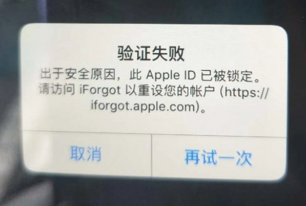 肇源iPhone维修分享iPhone上正常登录或使用AppleID怎么办 