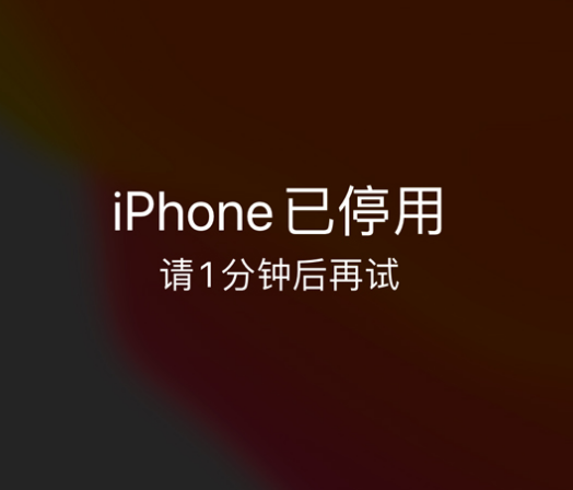 肇源苹果手机维修分享:iPhone 显示“不可用”或“已停用”怎么办？还能保留数据吗？ 