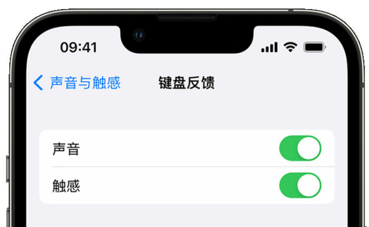 肇源苹果手机维修分享iPhone 14触感键盘使用方法 