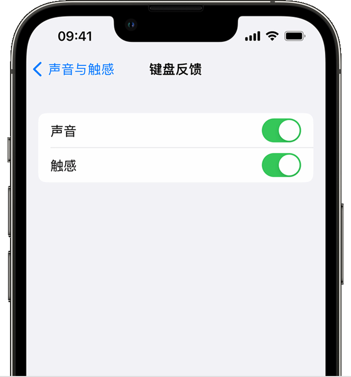 肇源苹果14维修店分享如何在 iPhone 14 机型中使用触感键盘 