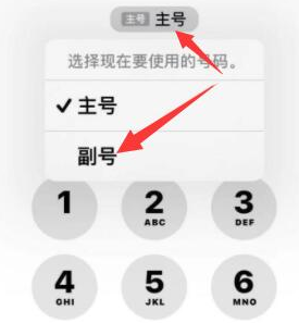 肇源苹果14维修店分享iPhone 14 Pro Max使用副卡打电话的方法 