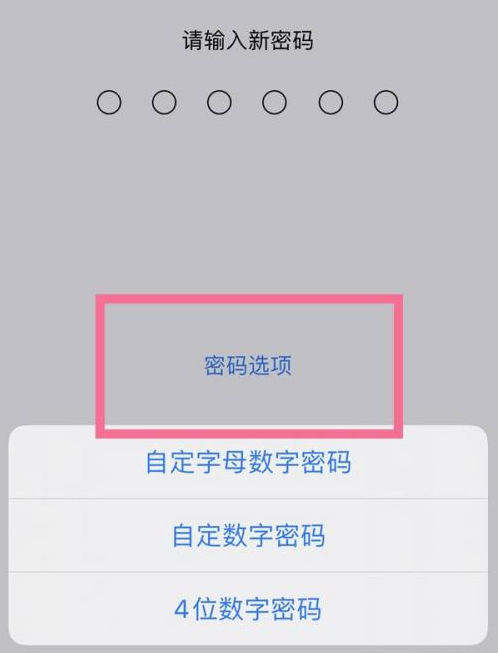 肇源苹果14维修分享iPhone 14plus设置密码的方法 