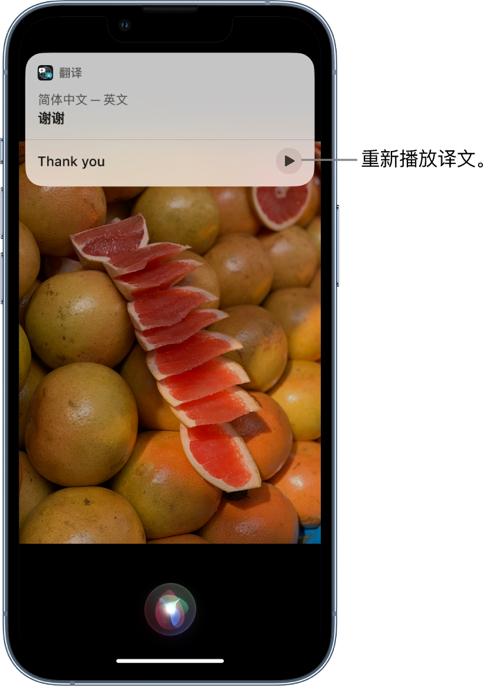 肇源苹果14维修分享 iPhone 14 机型中使用 Siri：了解 Siri 能帮你做什么 