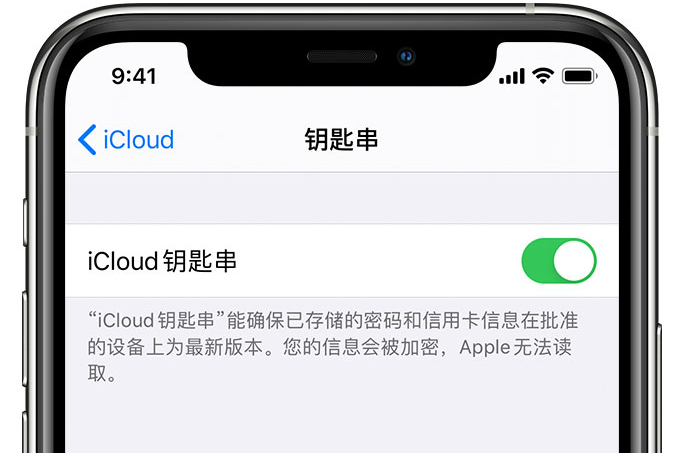 肇源苹果手机维修分享在 iPhone 上开启 iCloud 钥匙串之后会储存哪些信息 