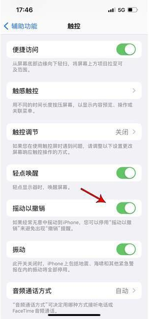 肇源苹果手机维修分享iPhone手机如何设置摇一摇删除文字 